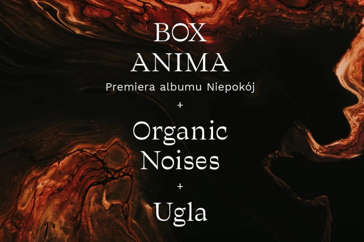 Klub Studio - Box Anima, ugla, Organic Noises klubzascianek - Box Anima, ugla, Organic Noises